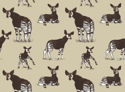 marmotdoodles:  Okapi pattern!