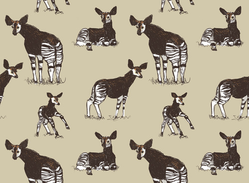 marmotdoodles:  Okapi pattern!