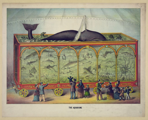 c. 1874: The aquarium at the circus Source