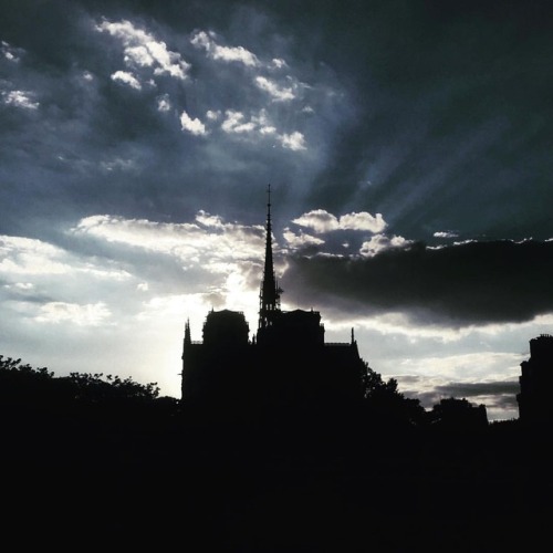 #Paris #notredame #cathedrale #notredamedeparis #laseine #boat #manwomanshows #shadow (à Notre-Dame,