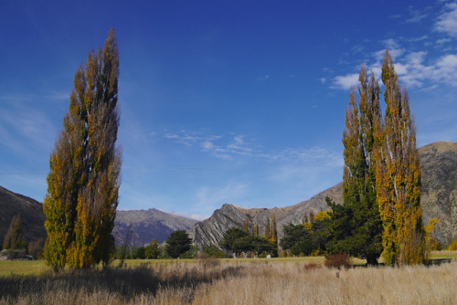 20190424 - Central Otago, New Zealand: Winetouring during my time in Queenstown.  These are from Car