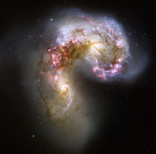nasa: Say hello to the Antennae galaxies Two galaxies are locked in a deadly embrace in this Hubble 