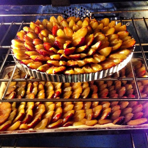 anneonbowen:
“Pflaumenkuchen. Making my favourite cake with my favourite plums in my favourite oven which is now cleaning itself :)) (at Seven Hills Bed and Breakfast)
”