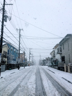 ujean:  俺は昨年この写真を撮った 雪が降ってと美しかった。。。 さんぽにいきましょう あなたと手をつなぎたい。。。 