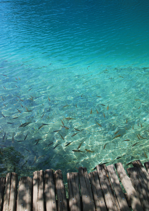 breathtakingdestinations:Plitvice Lakes National Park - Croatia (by zolakoma)