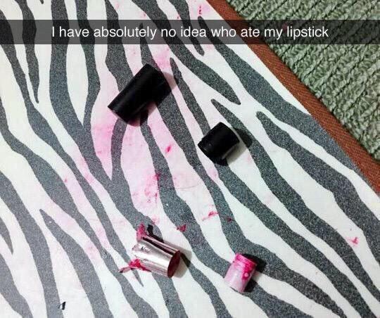 ramouzeh:its an absolute mystery