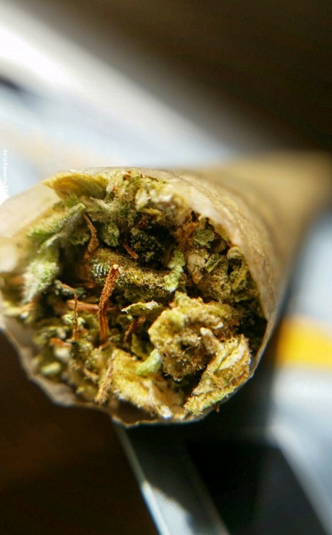 tristanemoffet:Headband Spliff