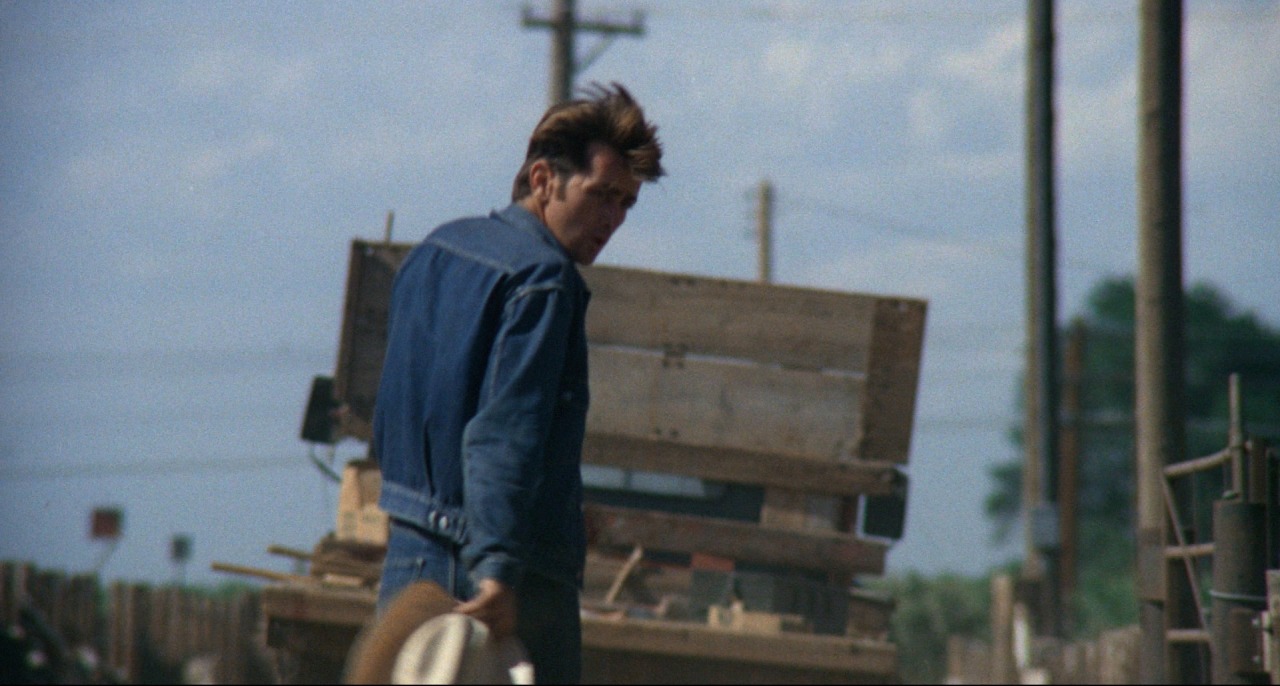 izvletchenie:Terrence Malick, Badlands (1973) adult photos