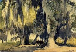 forevernoon: “Live Oaks” Winslow Homer - Watercolour via Stephen Ellcock