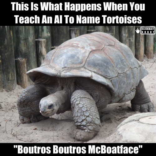 clickbaitrobot: This Is What Happens When You Teach An AI To Name Tortoises