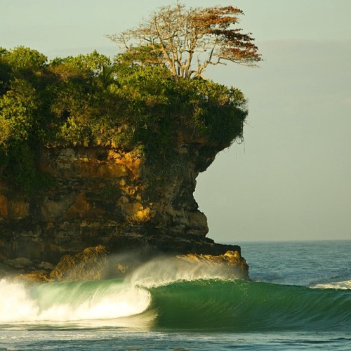 ripcurlusa:Finding the moments that take your breath away. #LiveTheSearchPhoto: Cory ‘@surfingthemoo