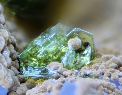 bijoux-et-mineraux:  Tabular crystals of