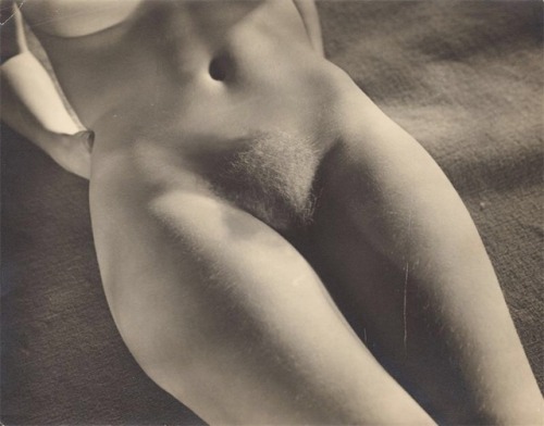 adskikafeteri2:Sasha Stone Akt, aus der Serie „Femmes“. Um 1932