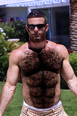 omgtripod:  Hairy Muscle-Hunk!!