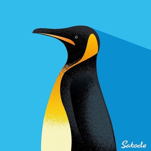 動物シリーズ No.3 Penguin /ペンギン iStock、PXTAにて販売中。 #イラスト#イラスト販売#イラストレーション#絵#illustrator#illustration#イラストレー