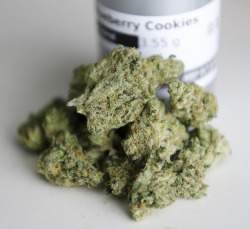 mslovejoy:Blueberry Cookies | Medical Marijuana