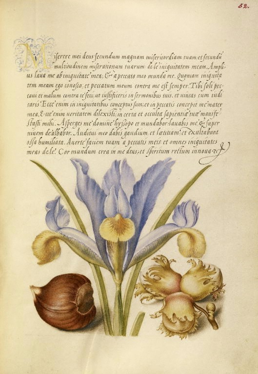 design-is-fine:  Joris Hoefnagel, illuminator, Georg Bocskay, scribe, pages from