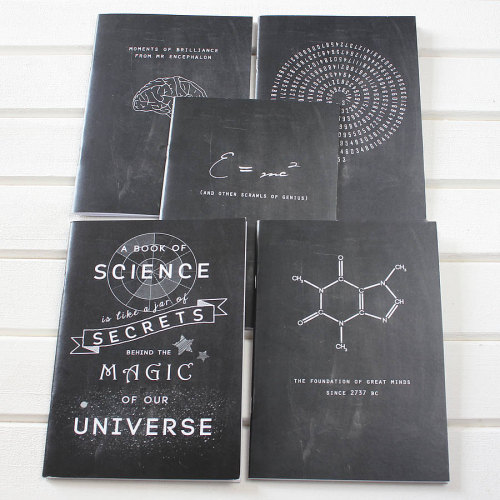 bestis-yet-tocome: culturenlifestyle: Quirky &amp; Puntastic Science Inspired Gifts Newton and t