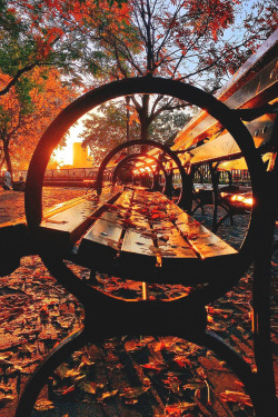 lsleofskye:  Battery Park | thewilliamanderson