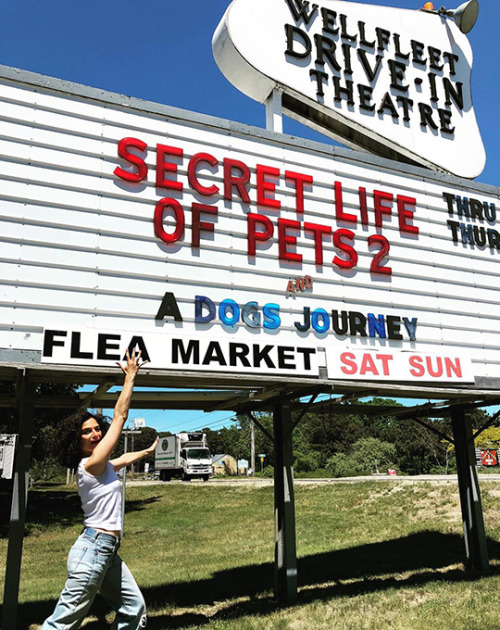 @jennyslate: Go see it this weekend, pets! @secretlifeofpets ❤️❤️❤️❤️