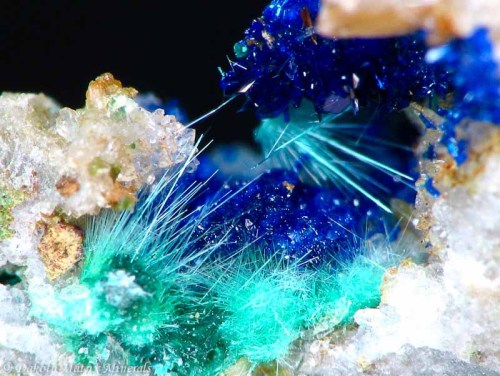 fuckyeahmineralogy:  Mixite and azurite, Carissa Mine, Utah.
