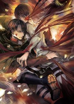 ereri-is-in-the-air:                    