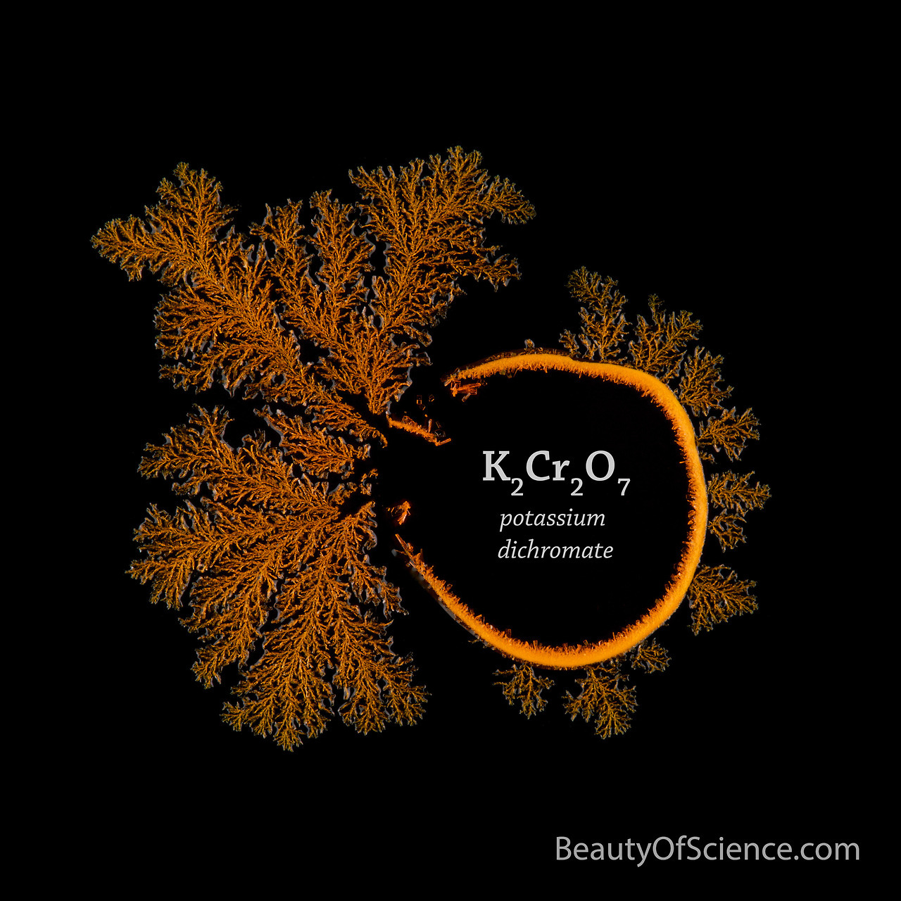 Beauty of Science: K2Cr2O7
To make these crystals, the Beauty of Science team first made a saturated aqueous solution of potassium dichromate. Then they put a droplet of the solution on a glass slide. As the water evaporated, small crystals formed...