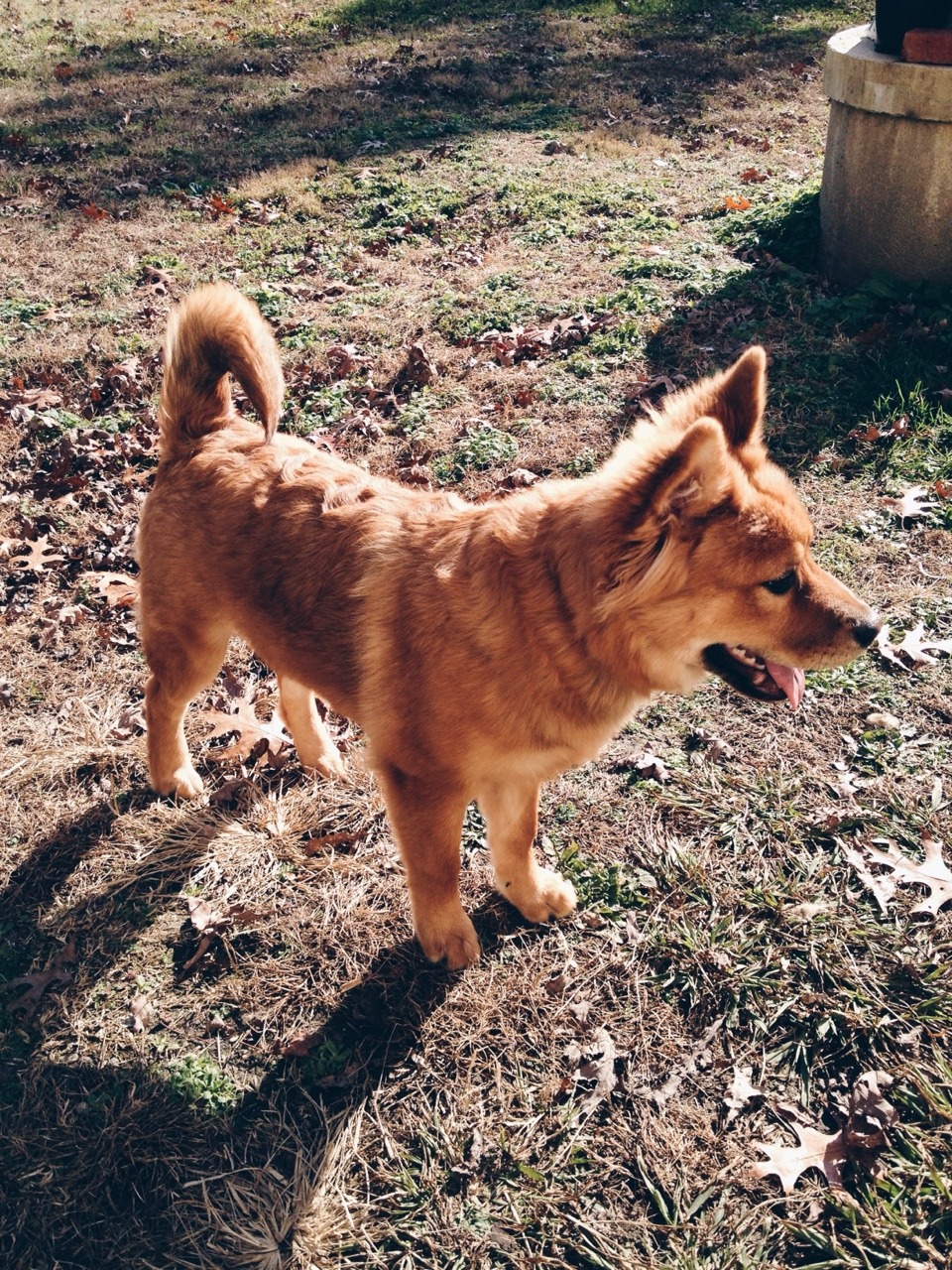 Thea&rsquo;s getting so big guys!