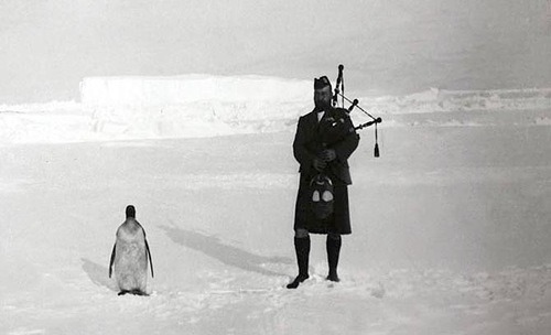 Gilbert Kerr plays the bagpipes for a penguin during the Scottish National Antarctic