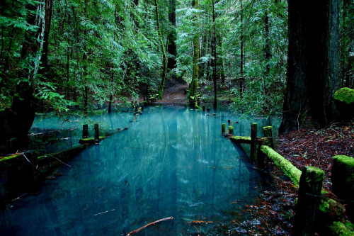 woodendreams:  (by mclyte04)