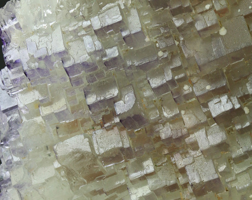 bijoux-et-mineraux:  Fluorite - Komshejeh Mine, Ardestan County, Esfahan Province, Iran 