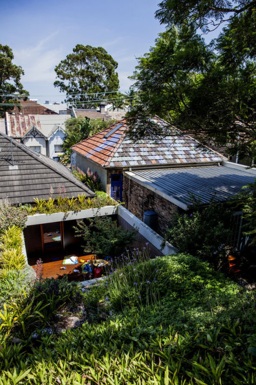 Laneway House | Jon JackaLocation: New South Wales, Australia