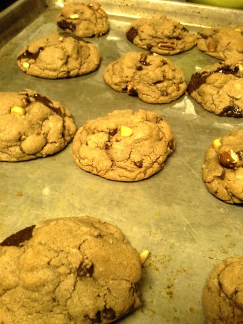 Perfect Nutella Chocolate Chip Cookiesa delicious cookie recipe I didn’t follow