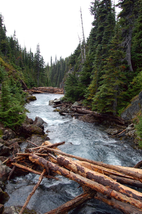 beautiful one, may be this used to be a salmon nestling stream