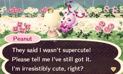 mayor-bunny: PEANUT YOU ARE IRRESISTIBLY CUTE 