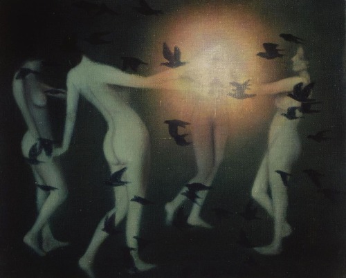 Fiona Finnegan