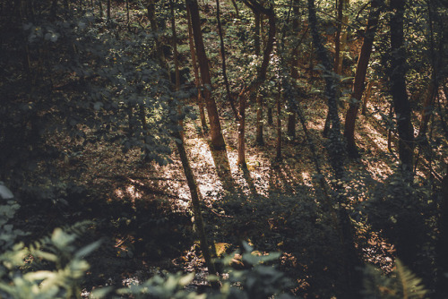 Xurbeo Waterfall (19.08.18)Shot on Sony a7s www.noeliamieva.comWebsite | | Instagram