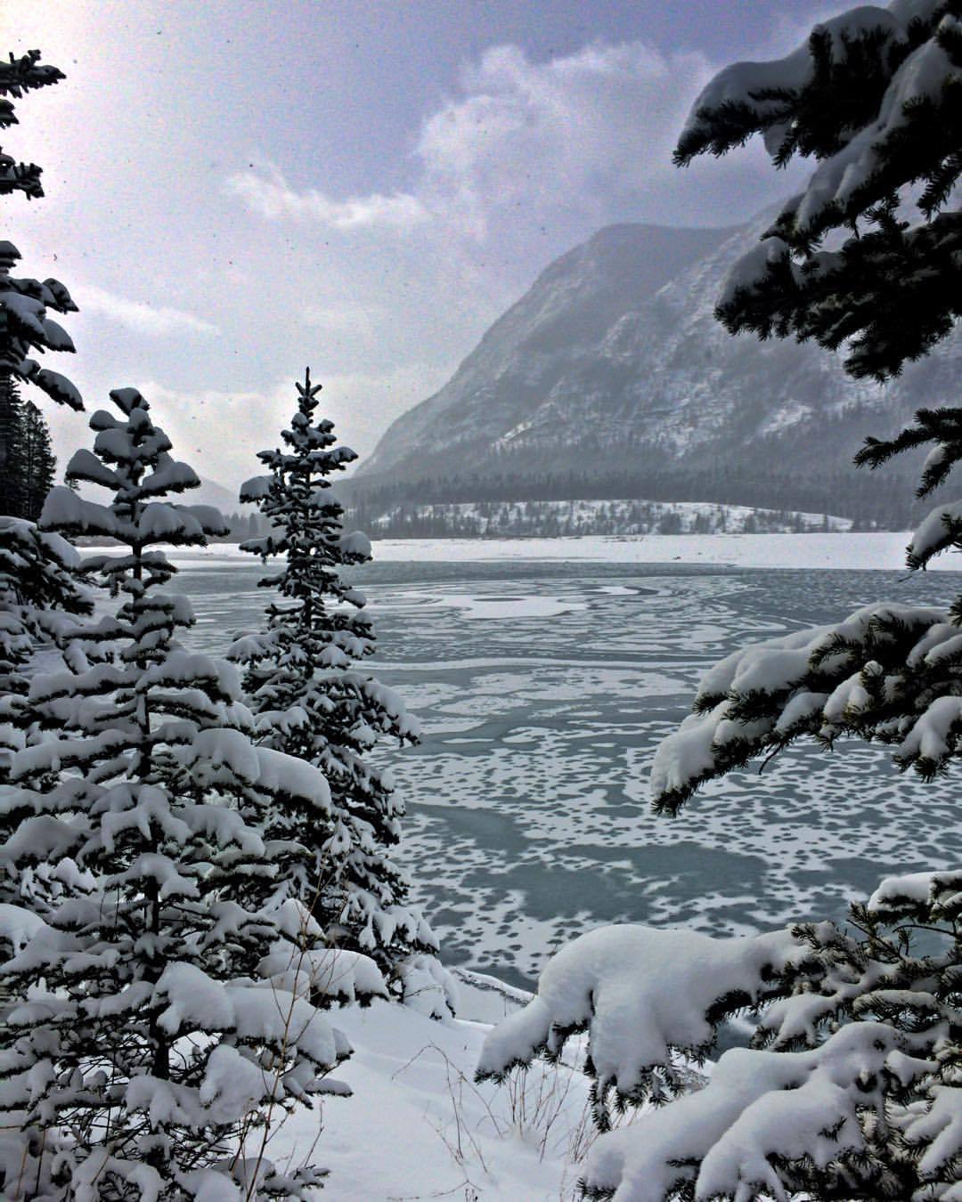 j7t1h:  If you haven’t heard, it’s snowing hard. #explorealberta | #capturecalgary