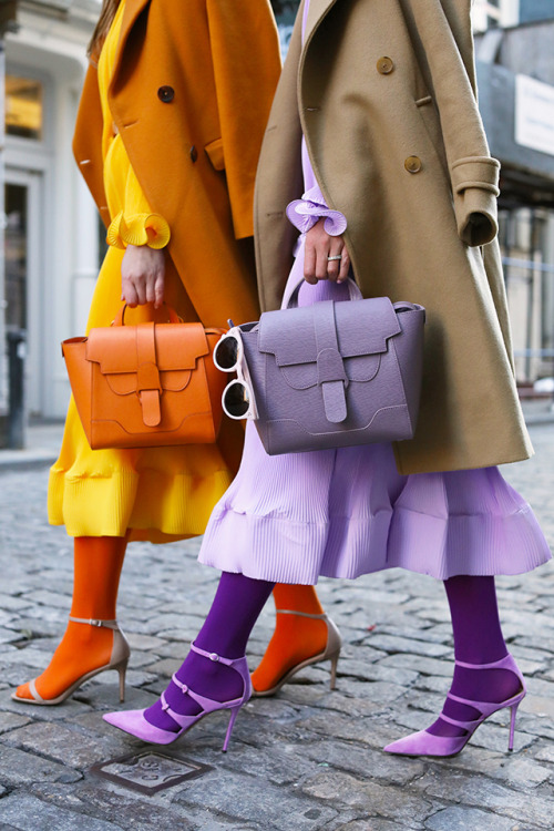 (via SENREVE // TWINNING AND WINNING | Atlantic-Pacific)