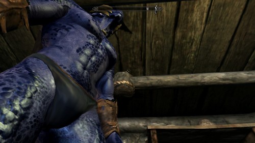 Fooling about with the camera on Skyrim, it looks like the Dragonborn has a constant wedgie in that first pic.
