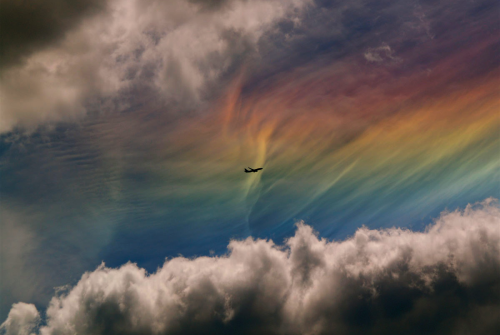 nubbsgalore:  this atmospheric phenomenon is known as a circumhorizontal arc, which occurs when the sun is at least 58° above the horizon and the hexagonal ice crystals which form cirrus clouds become horizontally aligned.                  