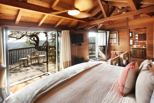 luxuryaccommodations: Tree Houses at Primland Part of a spectacular Blue Ridge Mountain resort, the Tree Houses at Primland immerse guests in the area’s magnificent natural beauty while providing first-class amenities such as flat-screen TVs, plush