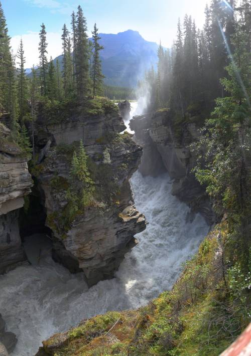 theencompassingworld:  The raging torrent below Athabasca Falls, Jasper National Park  More of our a