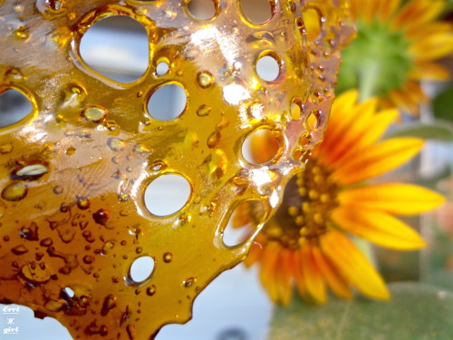 errl-y-girl:  emmmaryjane:  errl-y-girl:  ☀︎ Errl & Sunflowers ☀︎  errl-y-girl your shit is always on point tho 💯   thank you so much, what a sweet thing to say!!!☺️☺️☺️💕