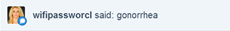 plasticbagvevo:  plasticbagvevo:  guess what i just got            say hi to kitkat