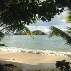 theadventurechild:  Jungle/tropical blog