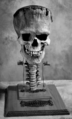 thedarknessafterthesun:  My edit, Death is a promise. Frankenstein Skull. (Source) 