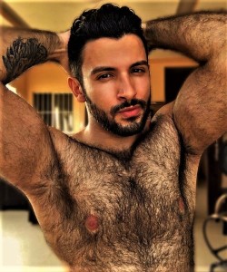 Hairy Armpits Dudes Addict