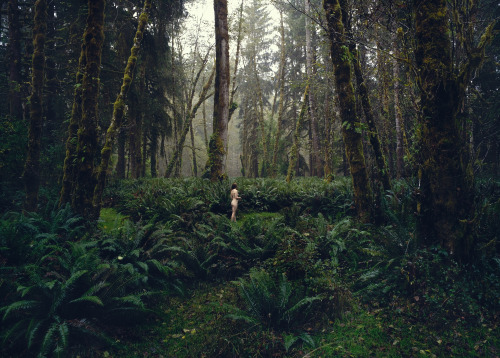 oliverregueiro:  Lost in the Woods 
