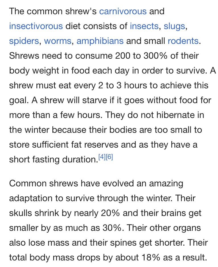 pulmonary-poultry:  dimetrodone: Abominations  Other animals in winter: Time to sleep